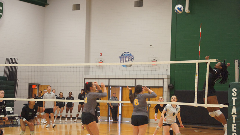 Women's Volleyball Lays It All Down against Catawba