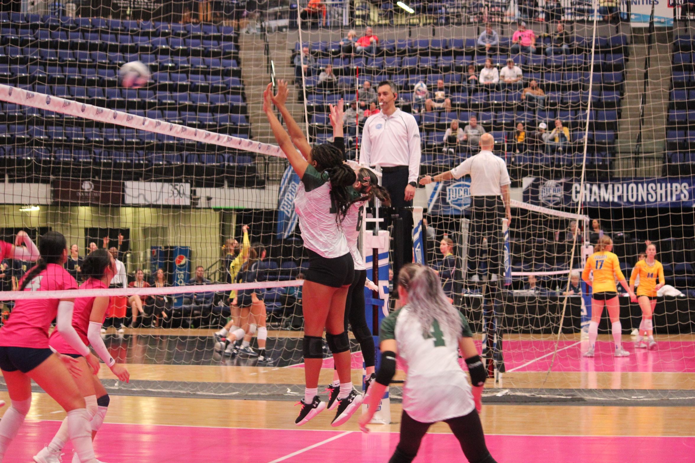 Women’s Volleyball Season Concludes at National Tournament